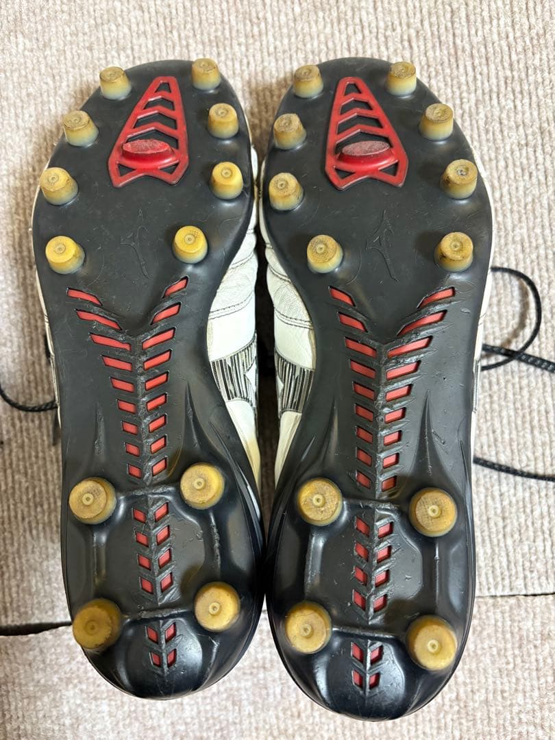 モレリアネオ4 26.0 モレリアのみ