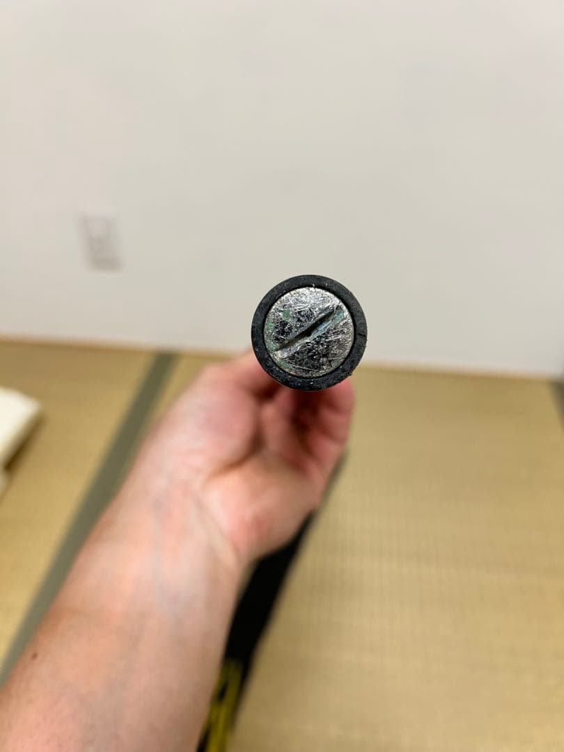 ダイワ　MONSTER FORCE(モンスターフォース) AGS 口太53