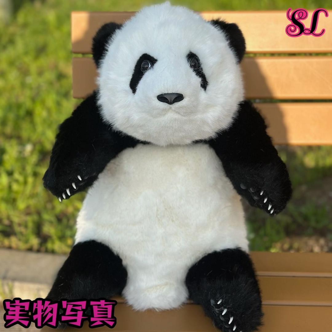 リアルで癒される！5ヶ月齢パンダ ぬいぐるみ登場 ファファ まるで本物！