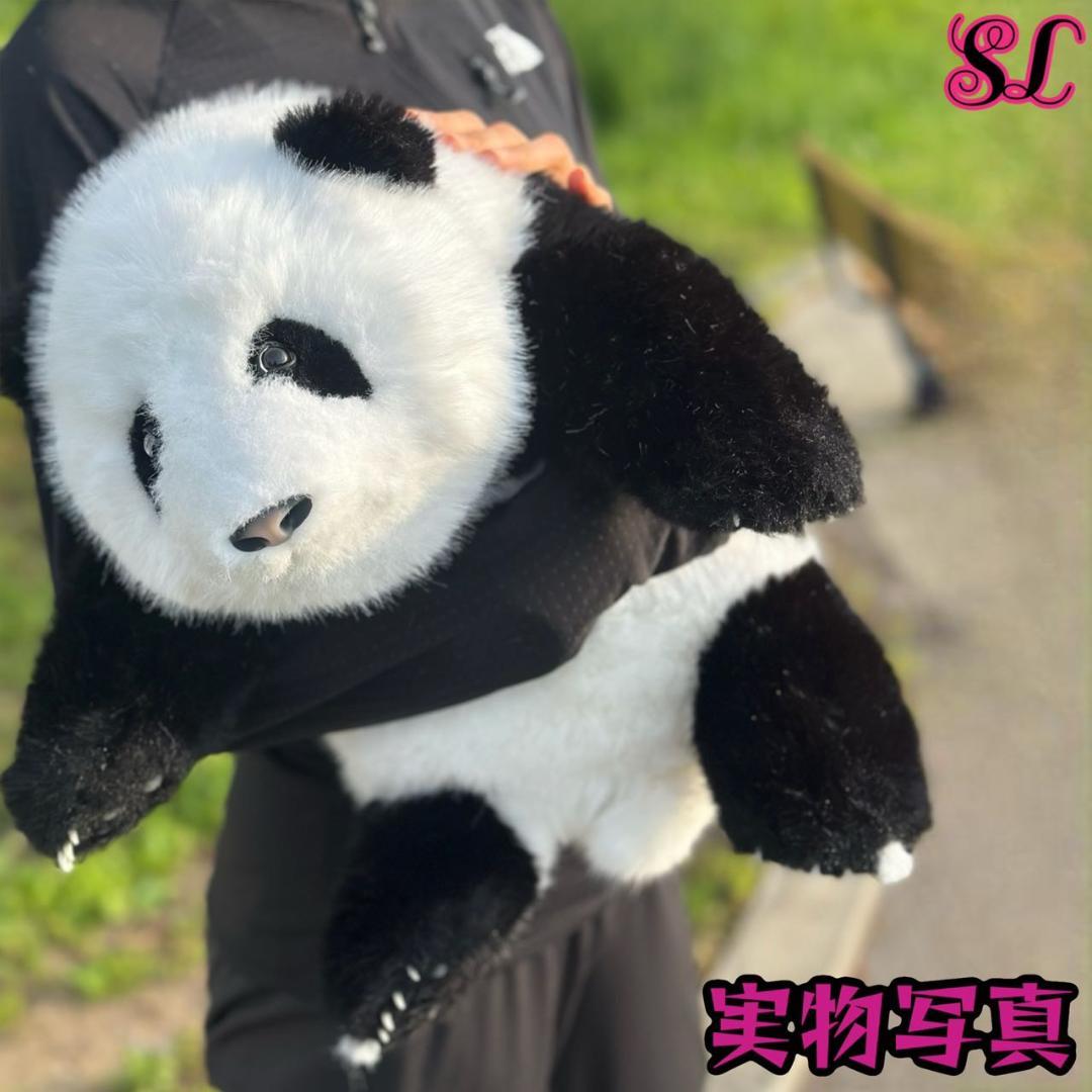 リアルで癒される！5ヶ月齢パンダ ぬいぐるみ登場 ファファ まるで本物！