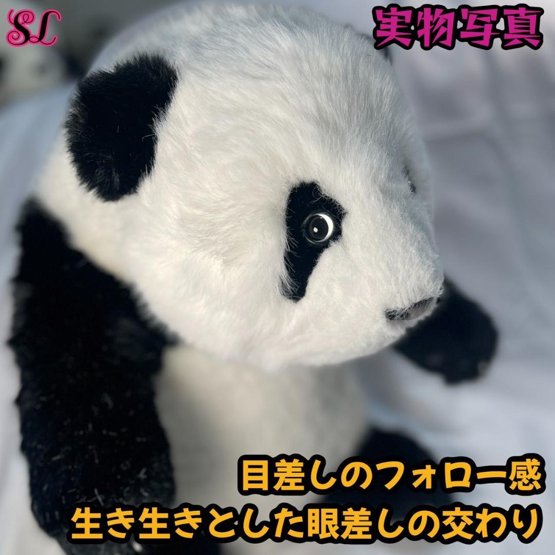 リアルで癒される！5ヶ月齢パンダ ぬいぐるみ登場 ファファ まるで本物！