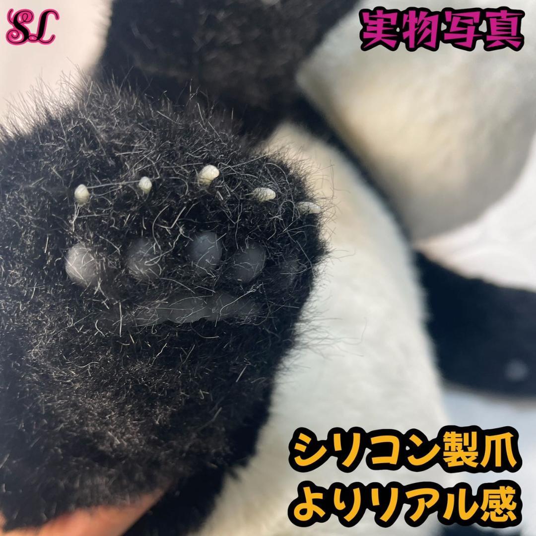 リアルで癒される！5ヶ月齢パンダ ぬいぐるみ登場 ファファ まるで本物！