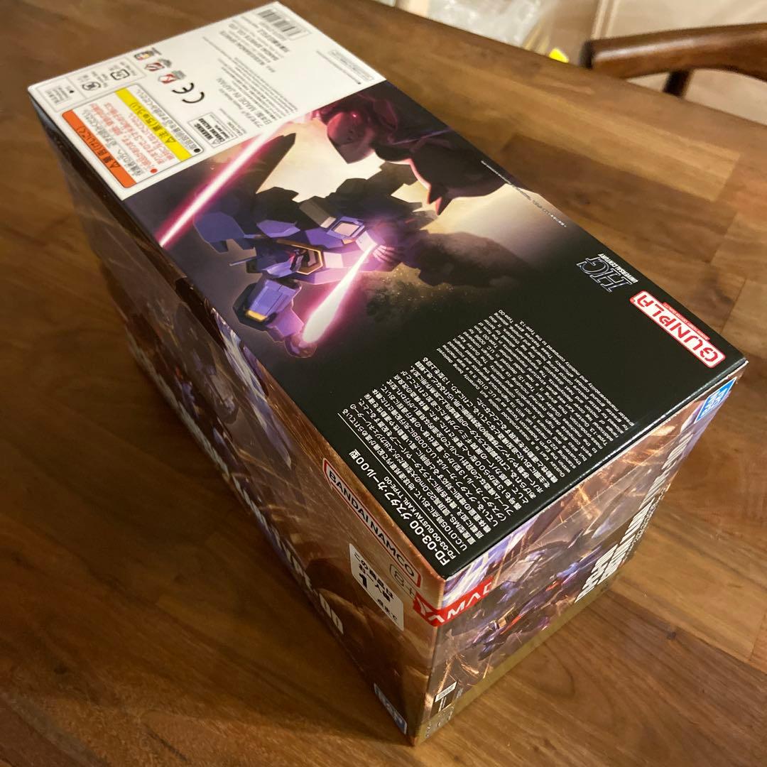 ガンプラ　HG シャリア専用リック・ドム(GQ) HG グスタフ・カールOO型