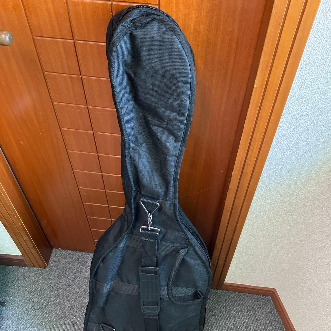 GrassRoots グラスツール　エレキギター　アクアブルー　G-SE-50R