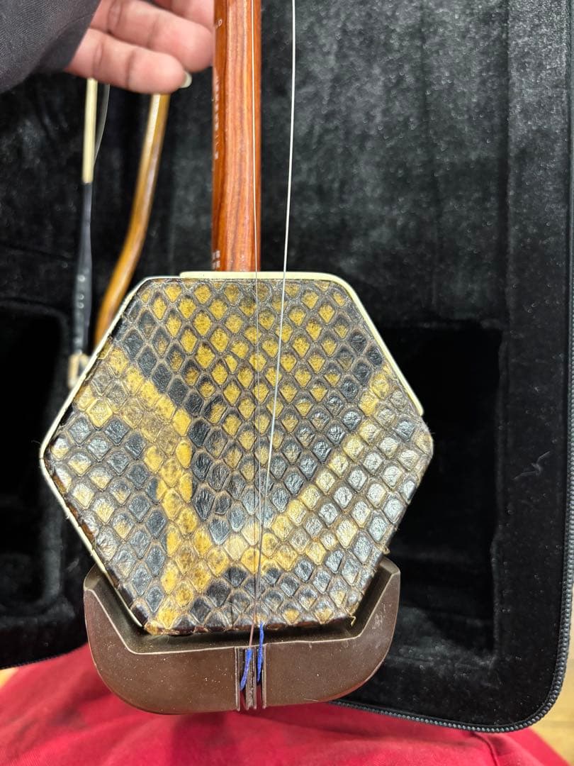 T107 美品！ 二胡 ケース付き 入門セット