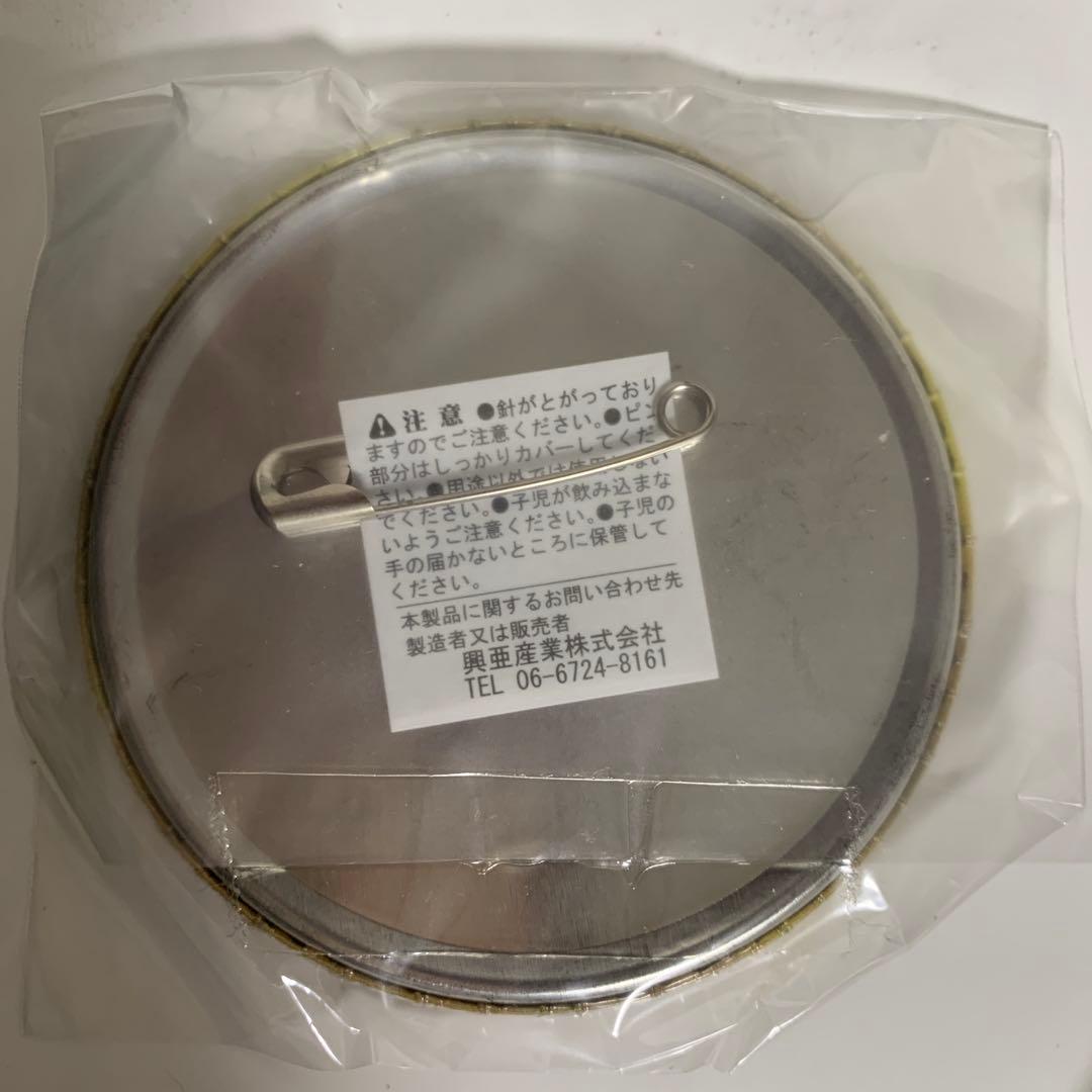 缶バッジ　セット　ナムコ・ナンジャタウン　マクロスf