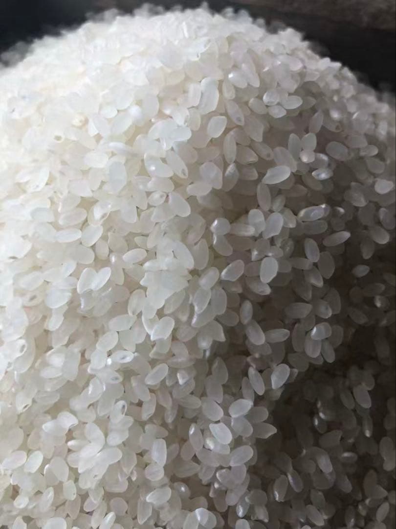 農家直送 岩手県令和7年産ひとめぼれ 白米10キロ