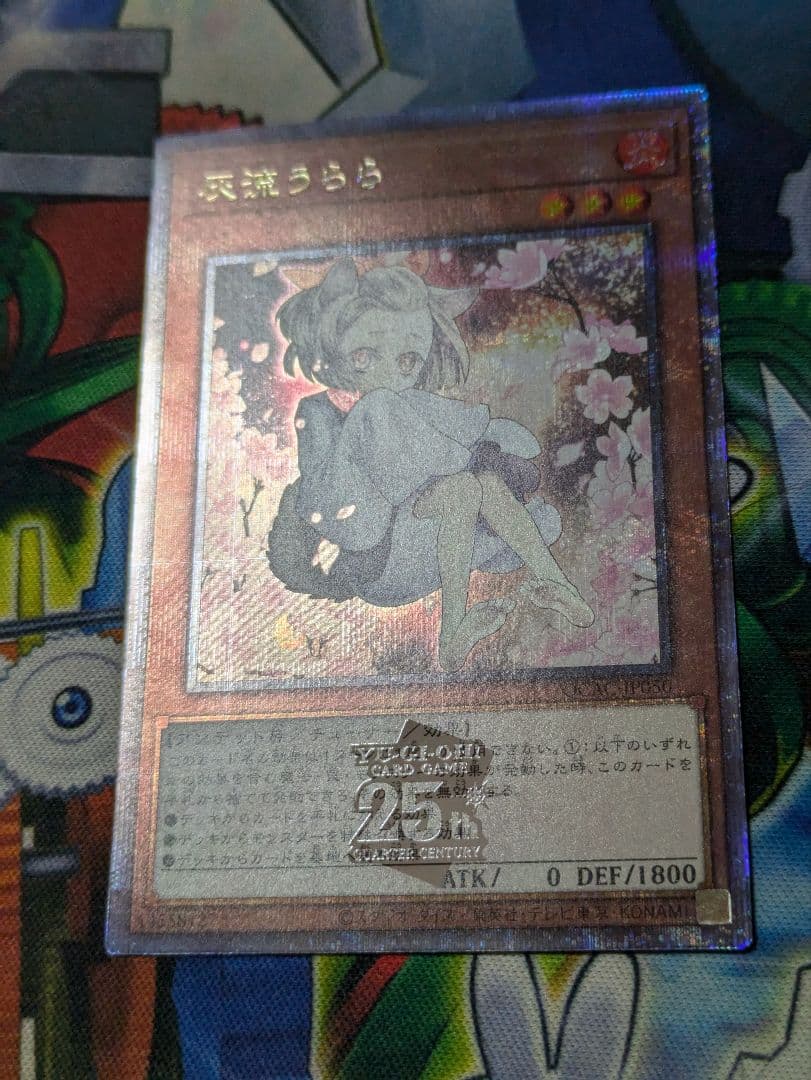 遊戯王　灰流うらら　イラスト違いクオシク25th