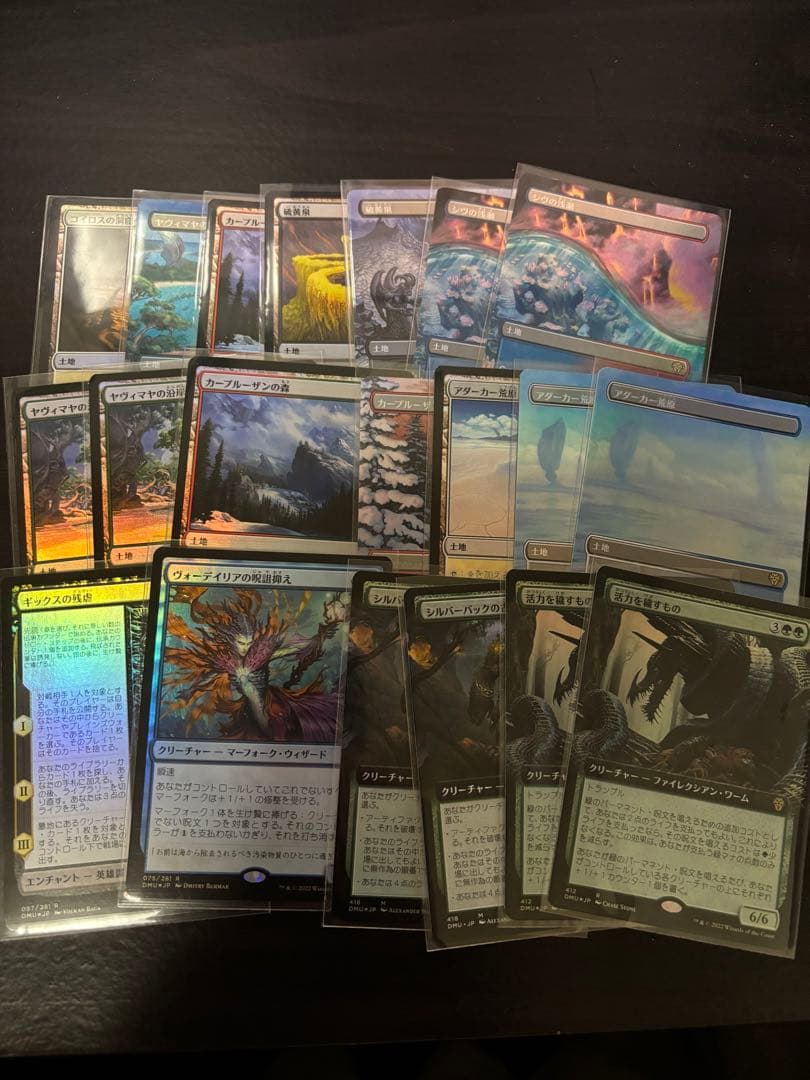 引退品　団結のドミナリア　シェオルドレッド　まとめ売り　foil