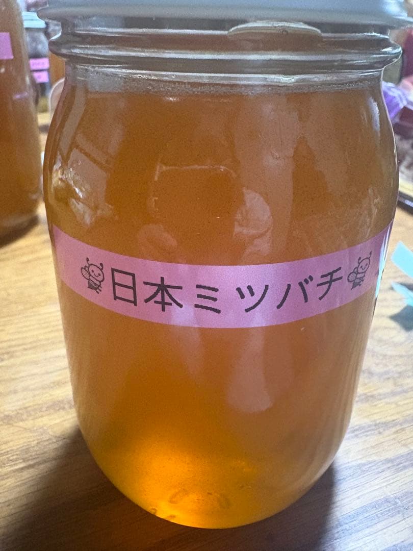 日本ミツバチのはちみつ