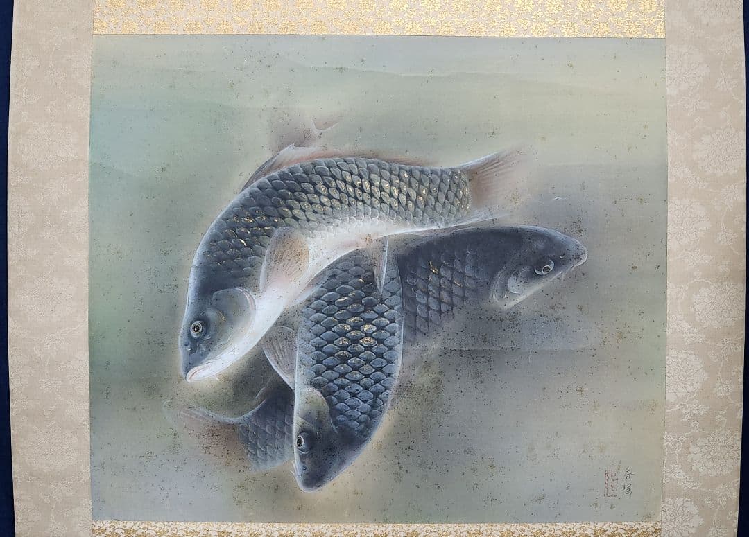 【魚紋図（群鯉)】松井香瑶 2685 共箱 掛け軸 肉筆