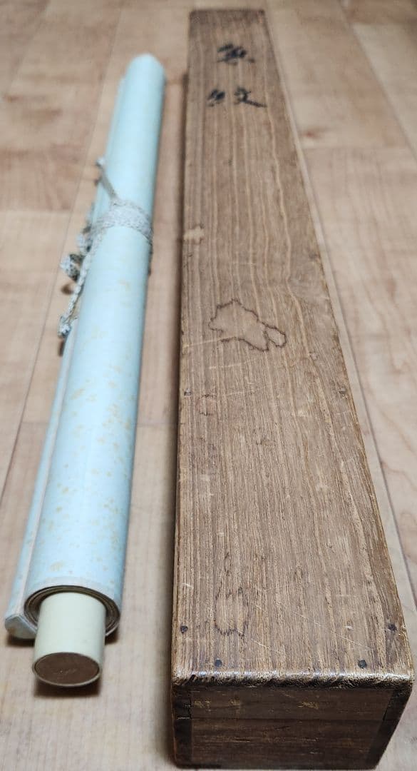 【魚紋図（群鯉)】松井香瑶 2685 共箱 掛け軸 肉筆