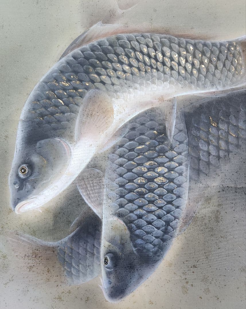 【魚紋図（群鯉)】松井香瑶 2685 共箱 掛け軸 肉筆