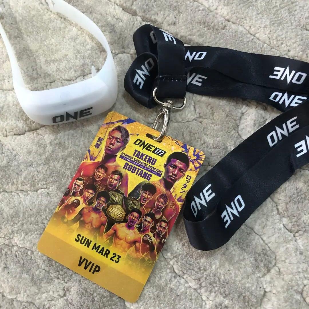 武尊vsロッタン直筆サイン入りスタンド入りONE173 VVIP限定特典セット