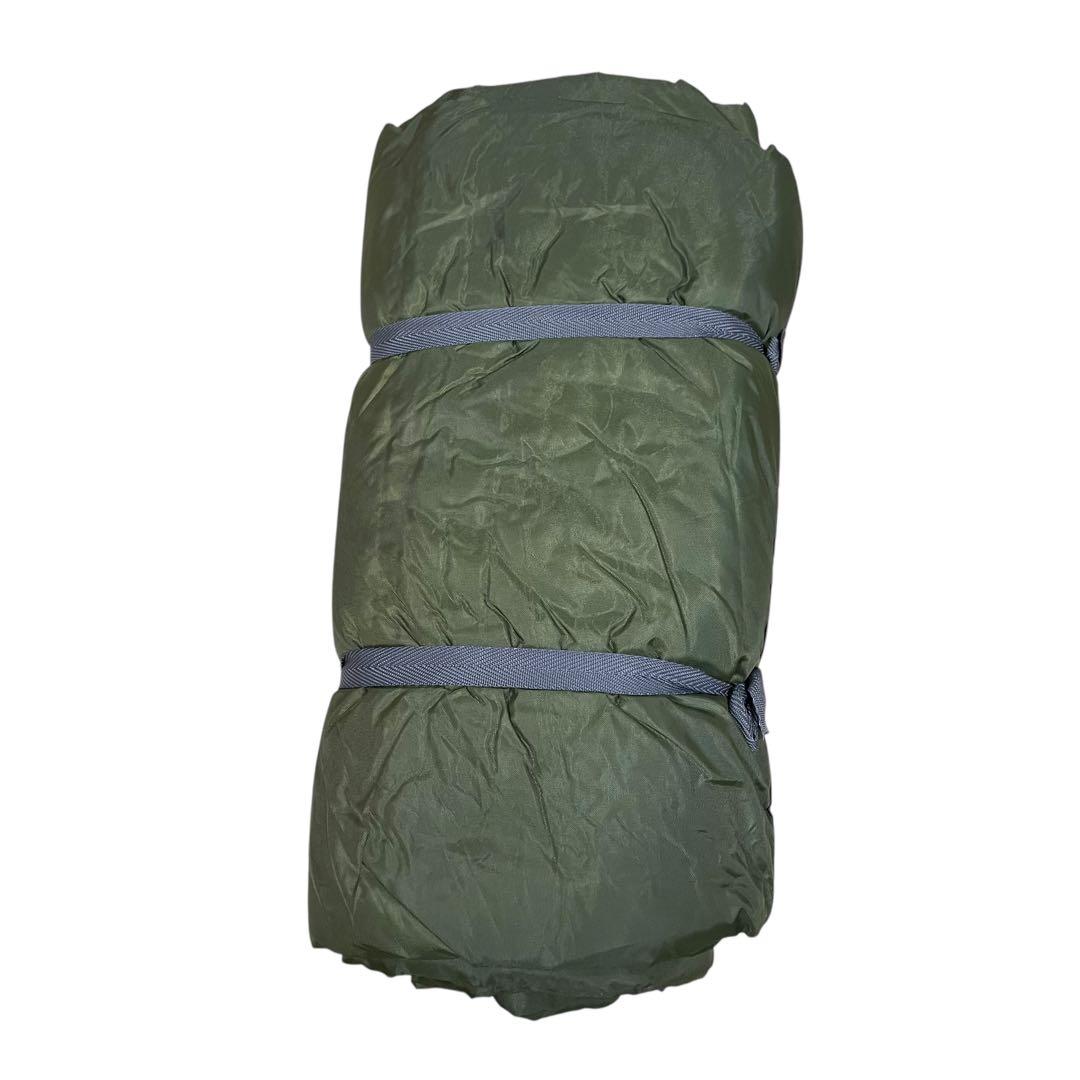 ロゴス プレミアムパネルリビングプラスAE専用 インナーマット アウトドア 緑