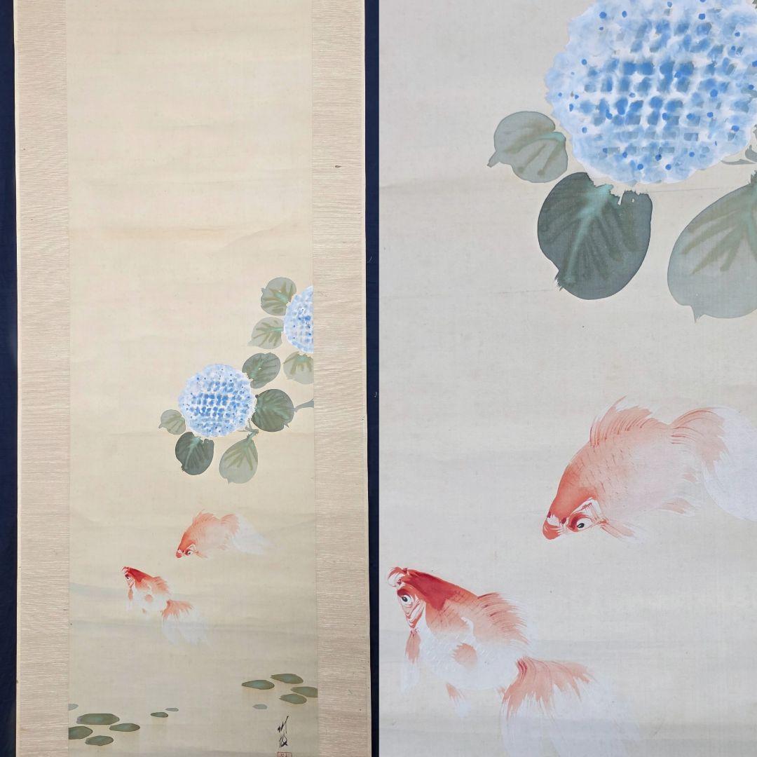 【紫陽花に金魚】尾竹竹坡 2725 共箱 掛け軸 肉筆 アジサイ