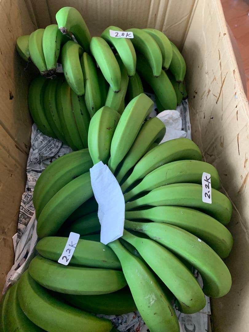 さくら様　ご予約