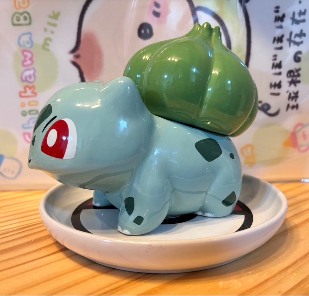 フシギダネ 鉢植え 皿付き