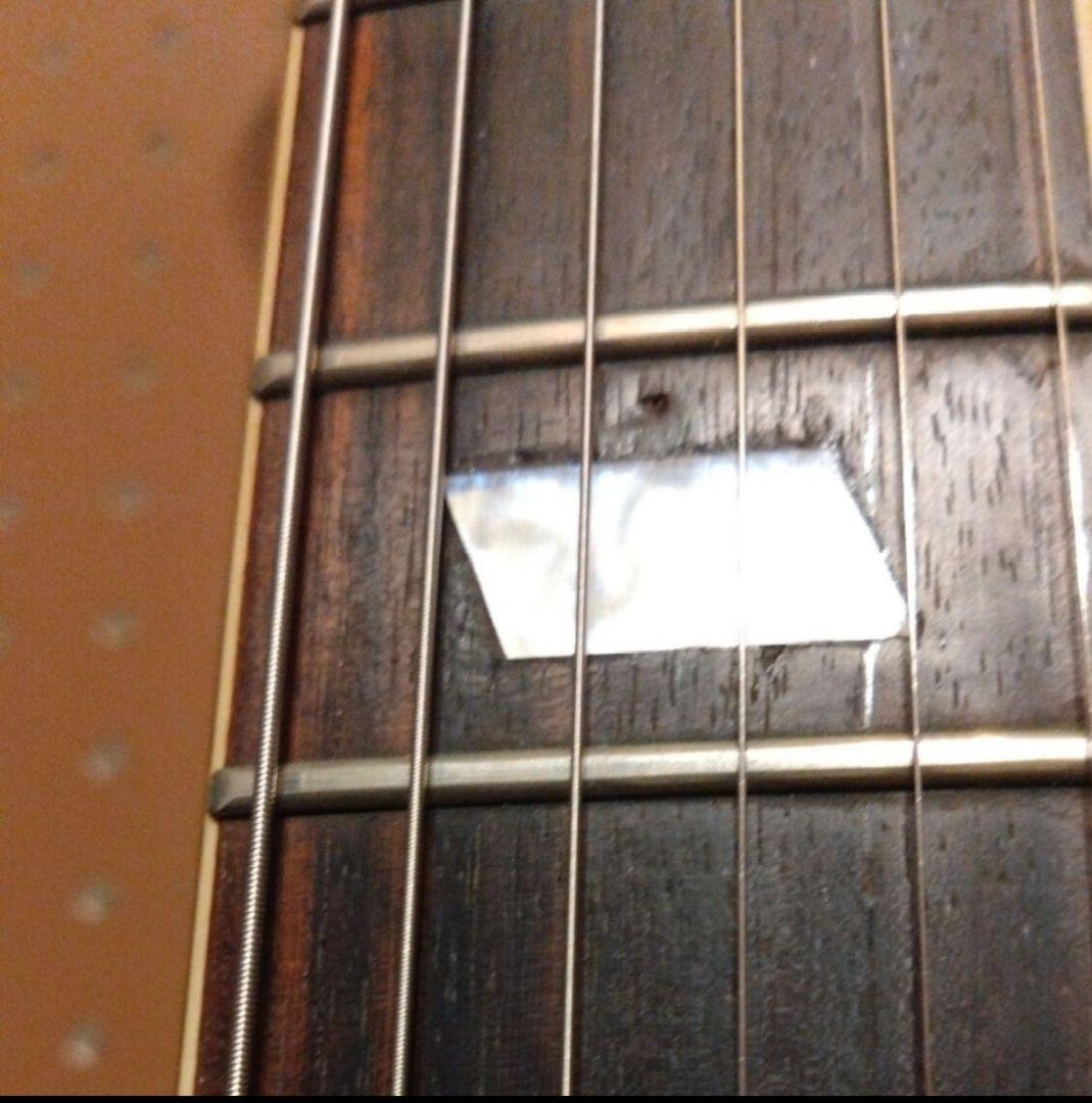 【究極のカスタム品】エピフォン ワイルドキャット