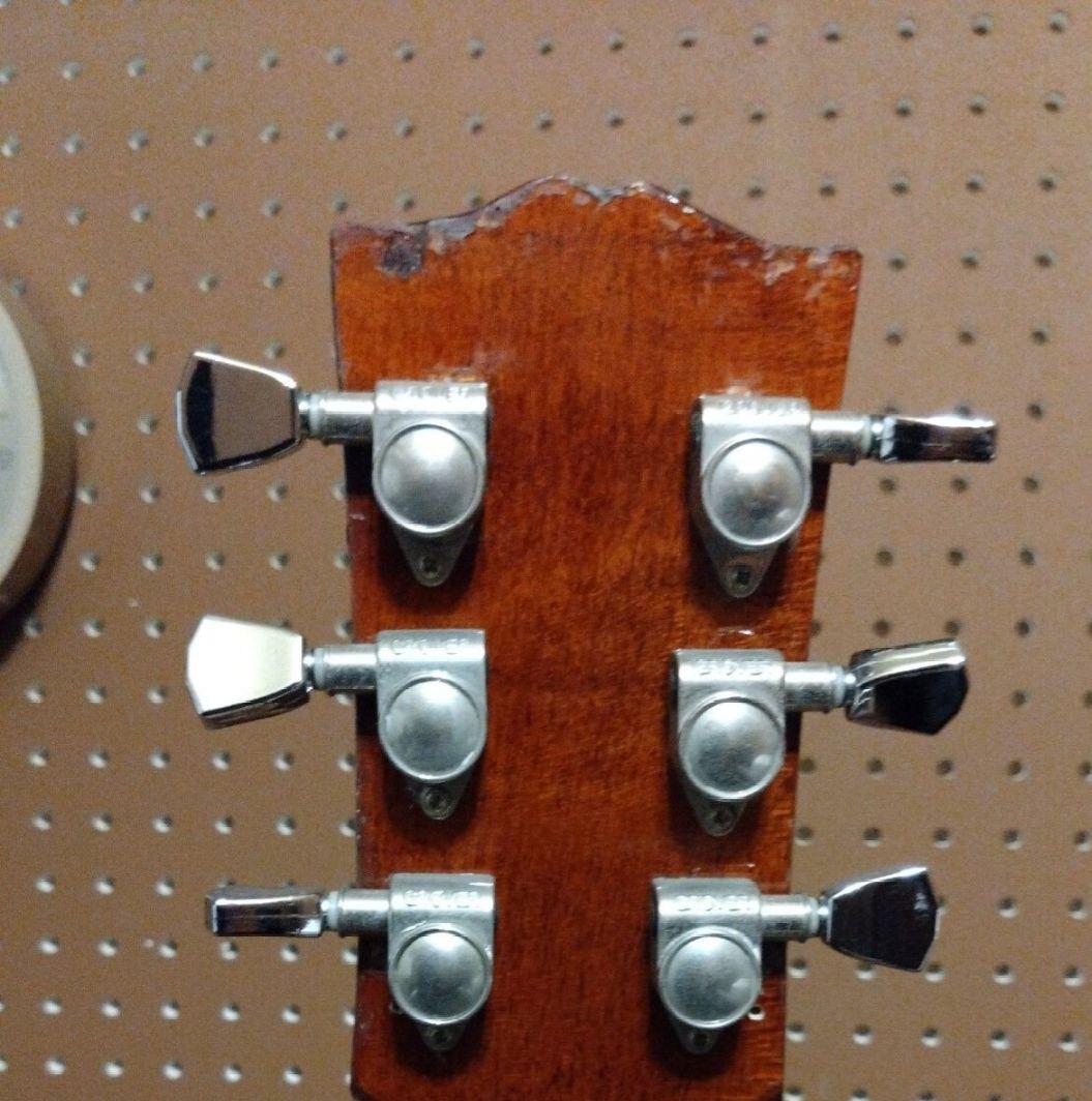 【究極のカスタム品】エピフォン ワイルドキャット