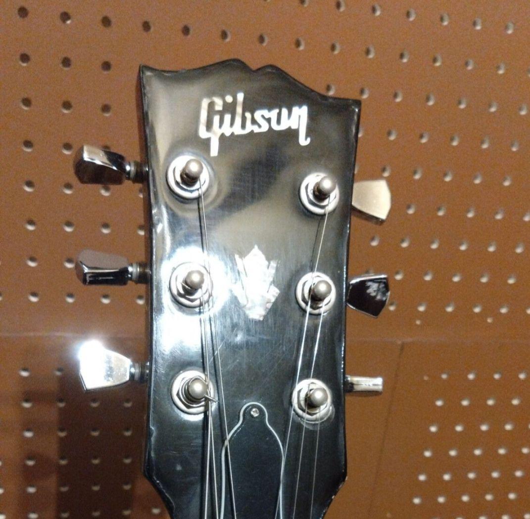 【究極のカスタム品】エピフォン ワイルドキャット