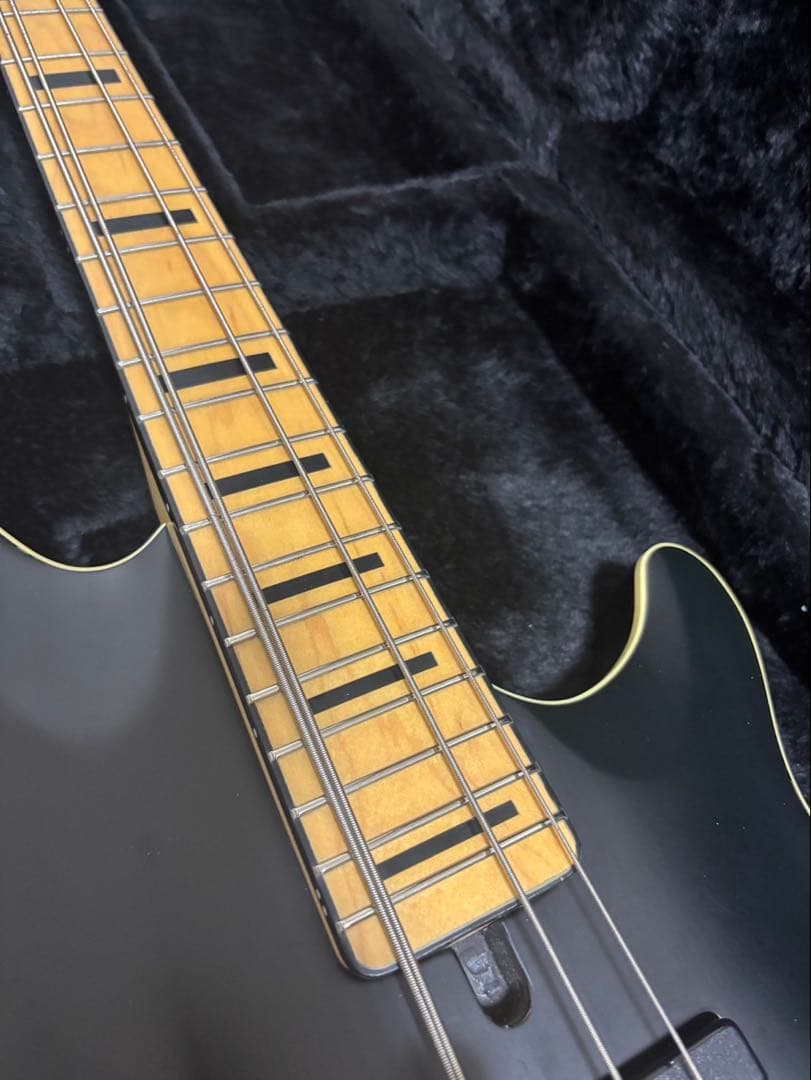 SCHECTER TOMOHIRO FACT シェクター　ベース