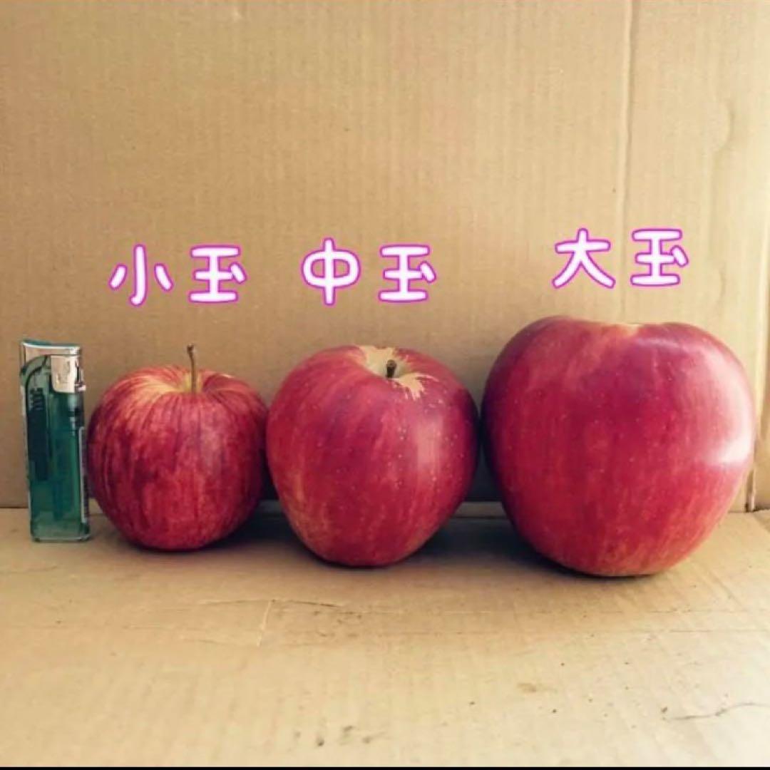 4箱　青森県産　A級　サンふじ　大玉　3キロ