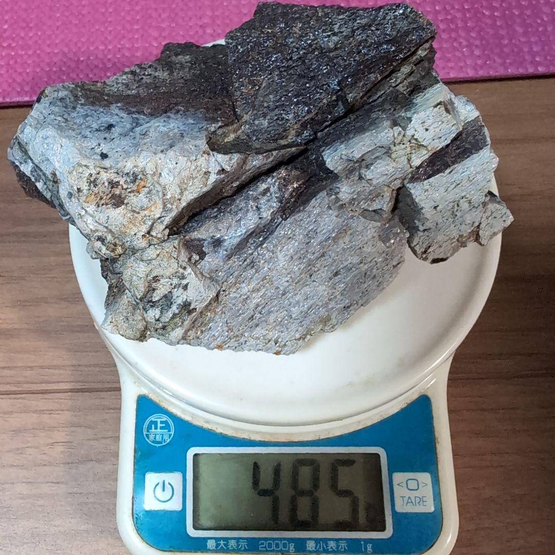 本物　トリケラトプス　特大角化石の一部　ラベル付き 485グラム