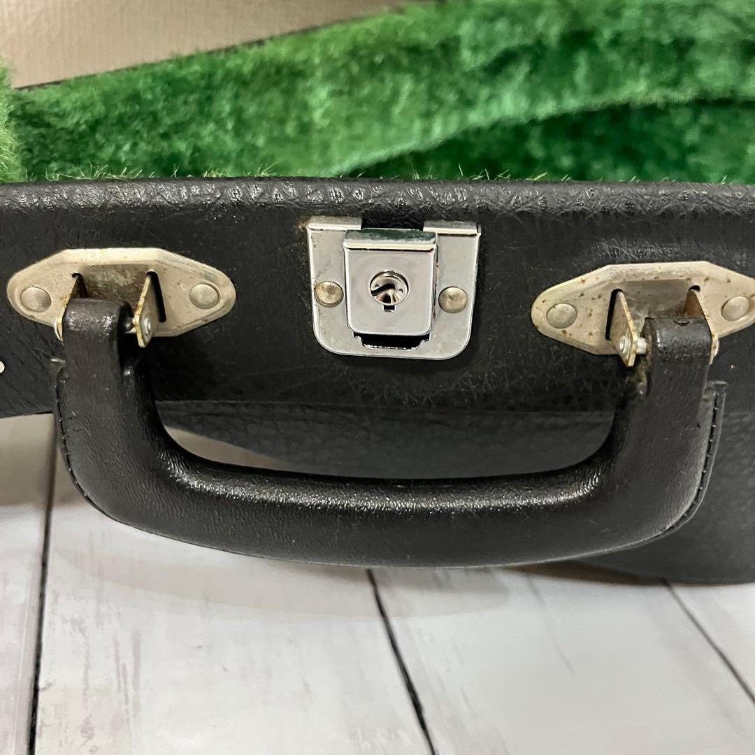 SUZUKI M-30 マンドリン 本体 ハードケース 弦 ピック付き！