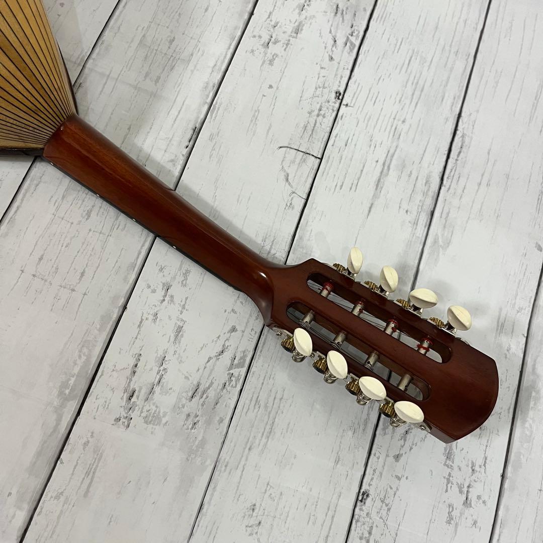 SUZUKI M-30 マンドリン 本体 ハードケース 弦 ピック付き！