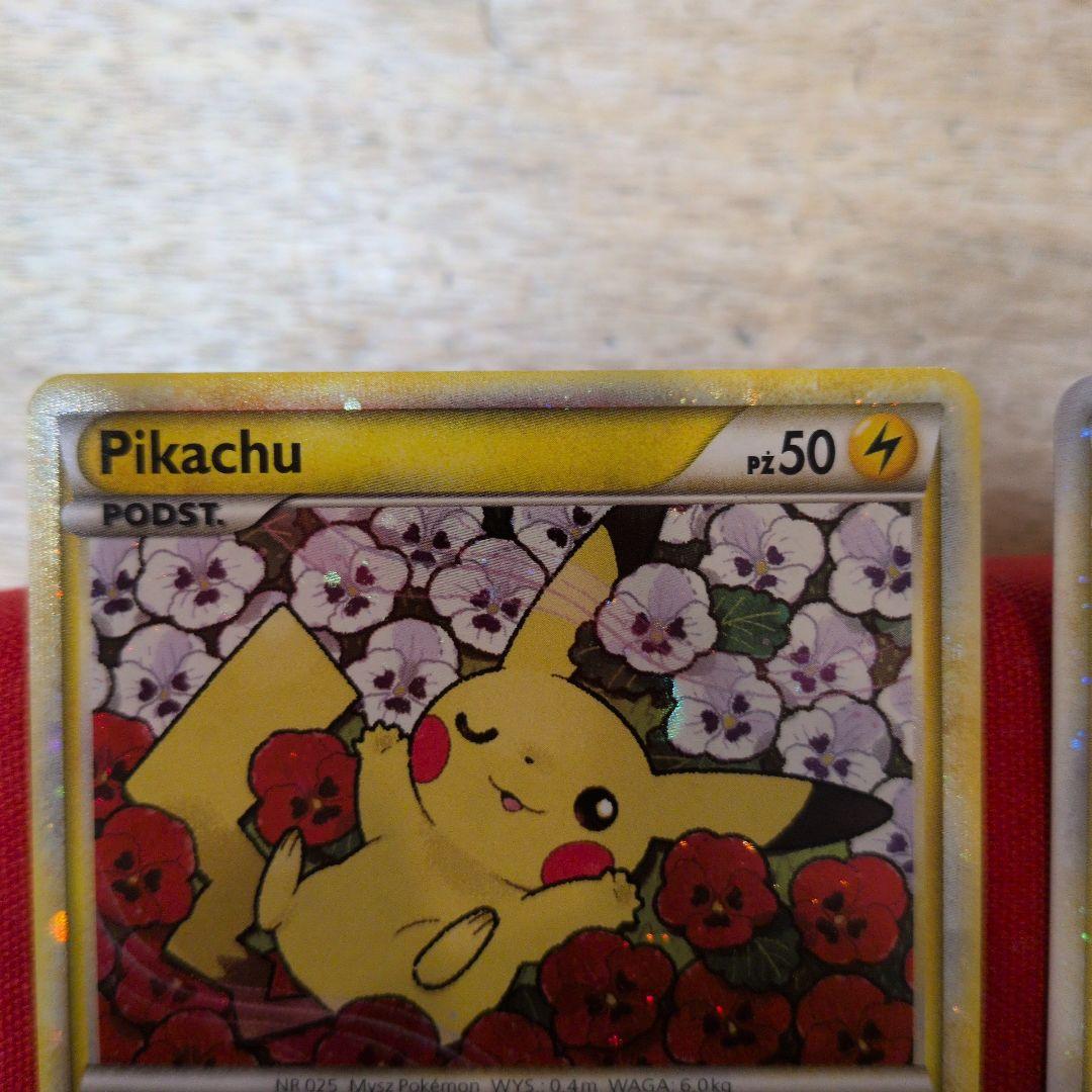 ピカチュウワールド アメリカ韓国ポーランド日本