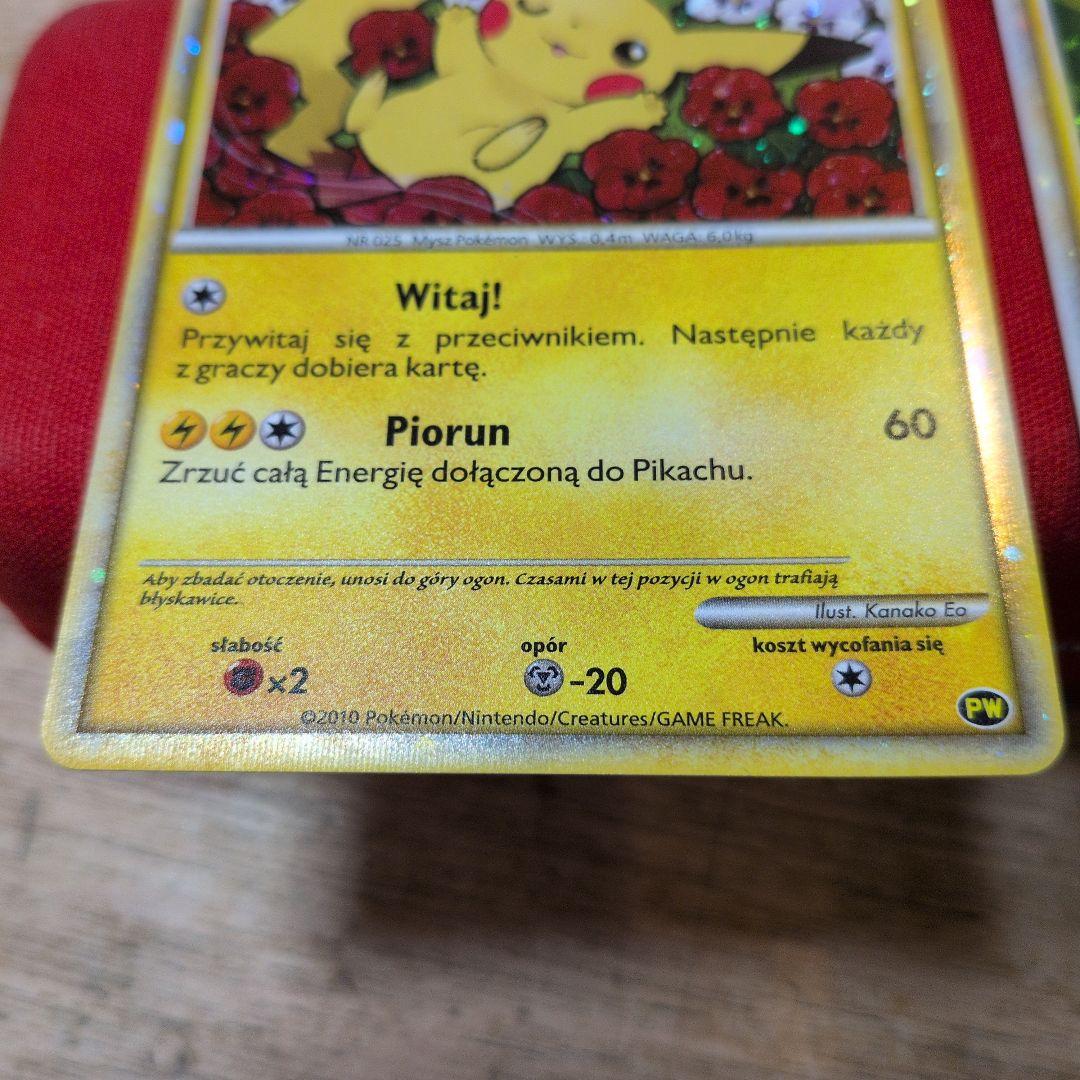 ピカチュウワールド アメリカ韓国ポーランド日本