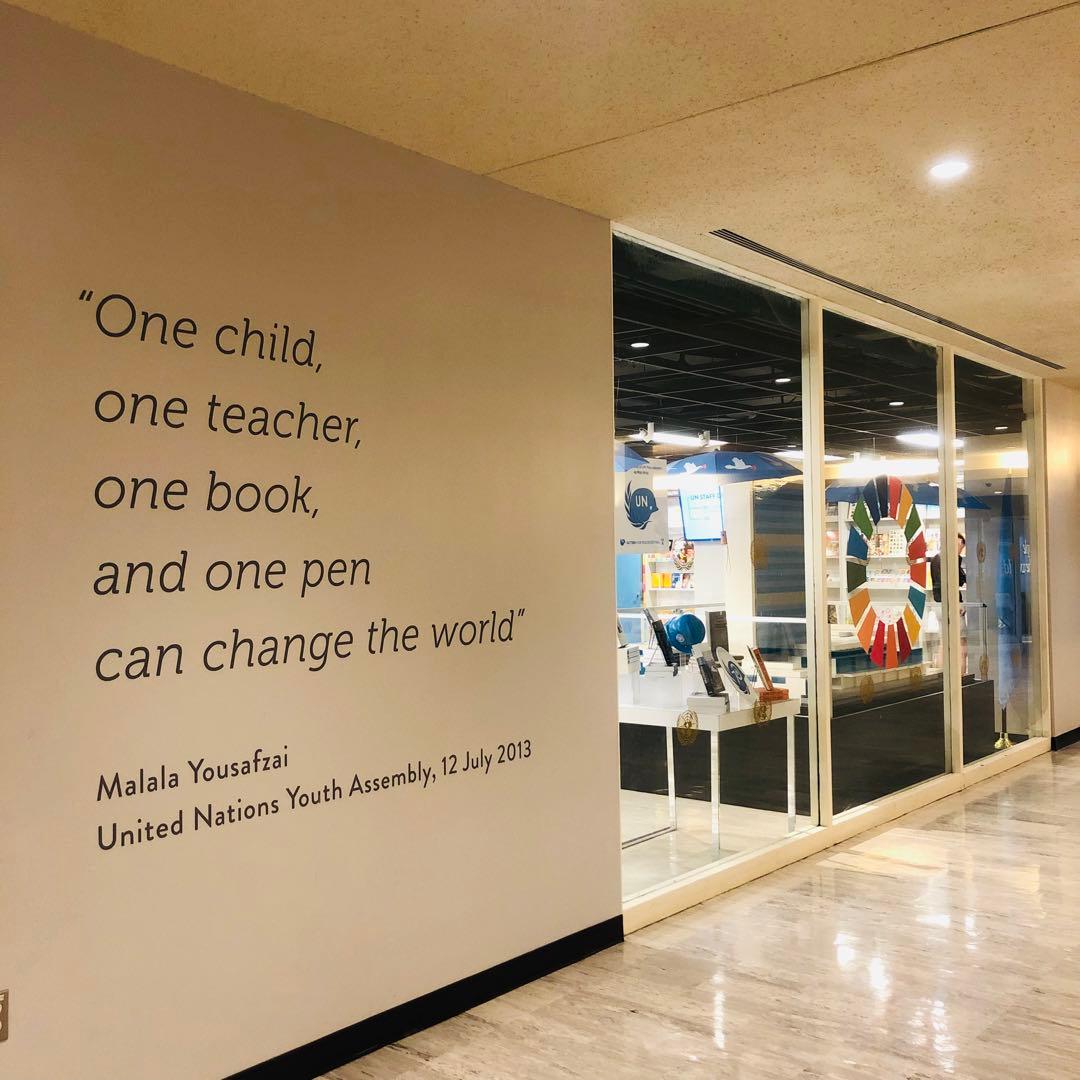 【国連本部純正品】10点　SDGs  ピンバッジ　【新品未使用】