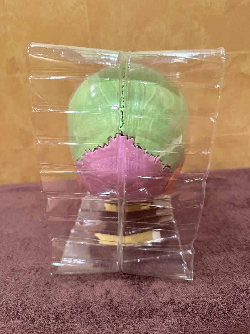 ■ドイツ3B社製頭蓋骨22分解キッ ト表示>マルチカラー　◾️新品未使用品