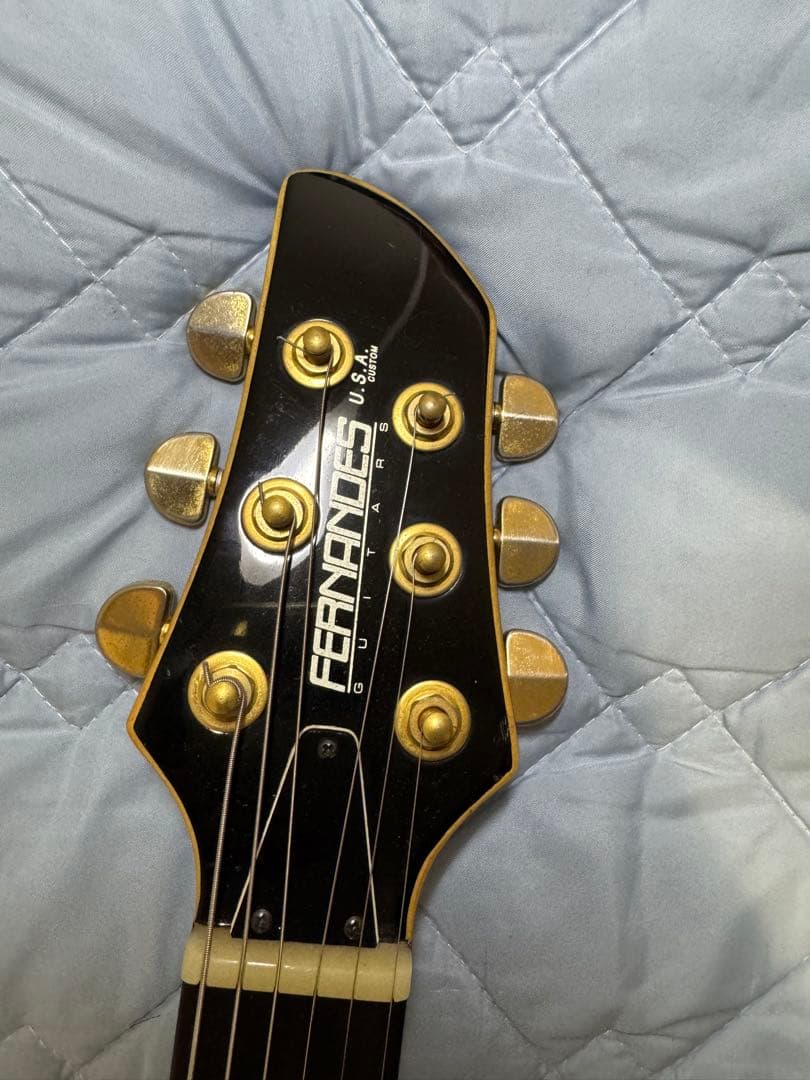 フェルナンデス　APG-100