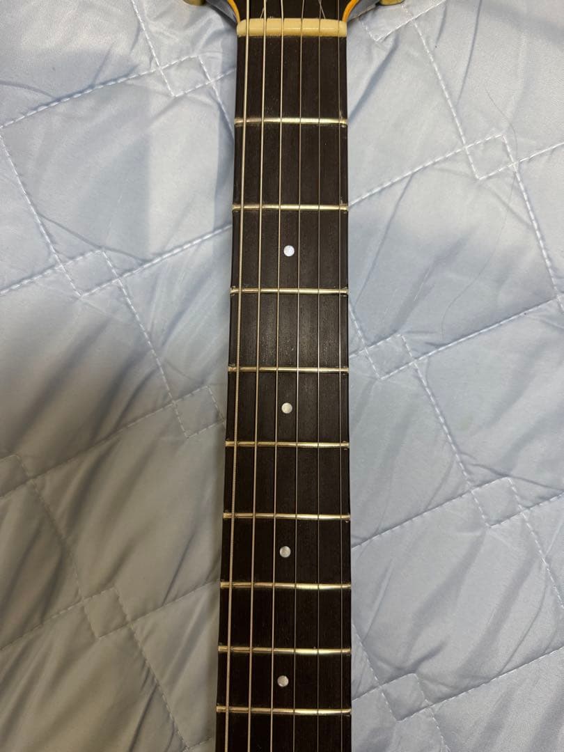 フェルナンデス　APG-100