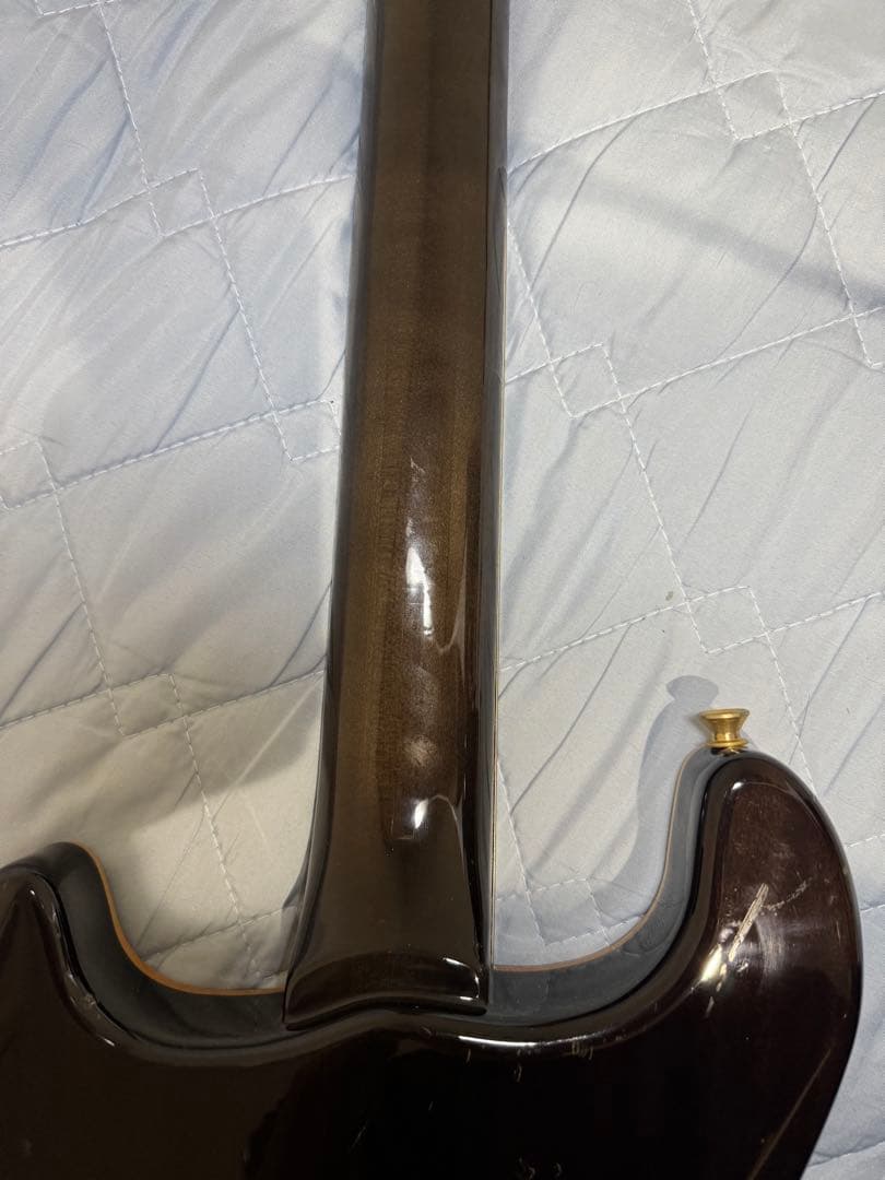 フェルナンデス　APG-100