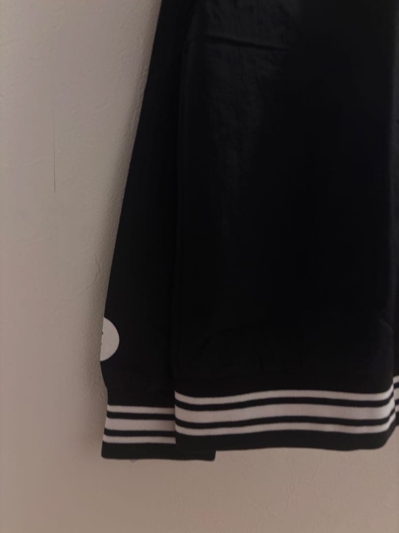 エレクトリック　ナイロンロゴプルオーバー　XL