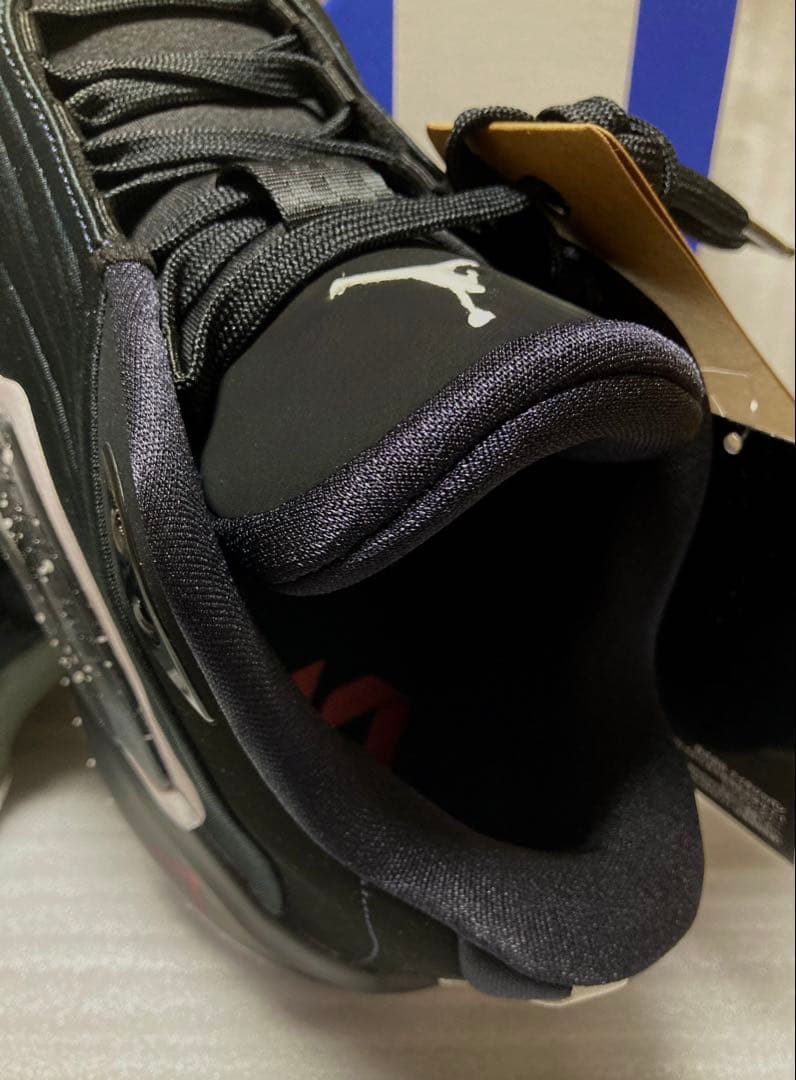 NIKE JORDAN LUKA 3 PF 27cm【タグ付 新品 未使用品】