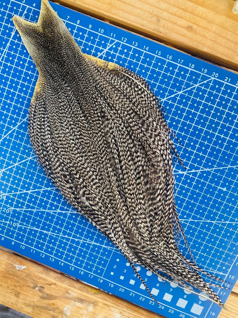 WHITING ハックル ホワイティング グリズリーフライフライマテリアル