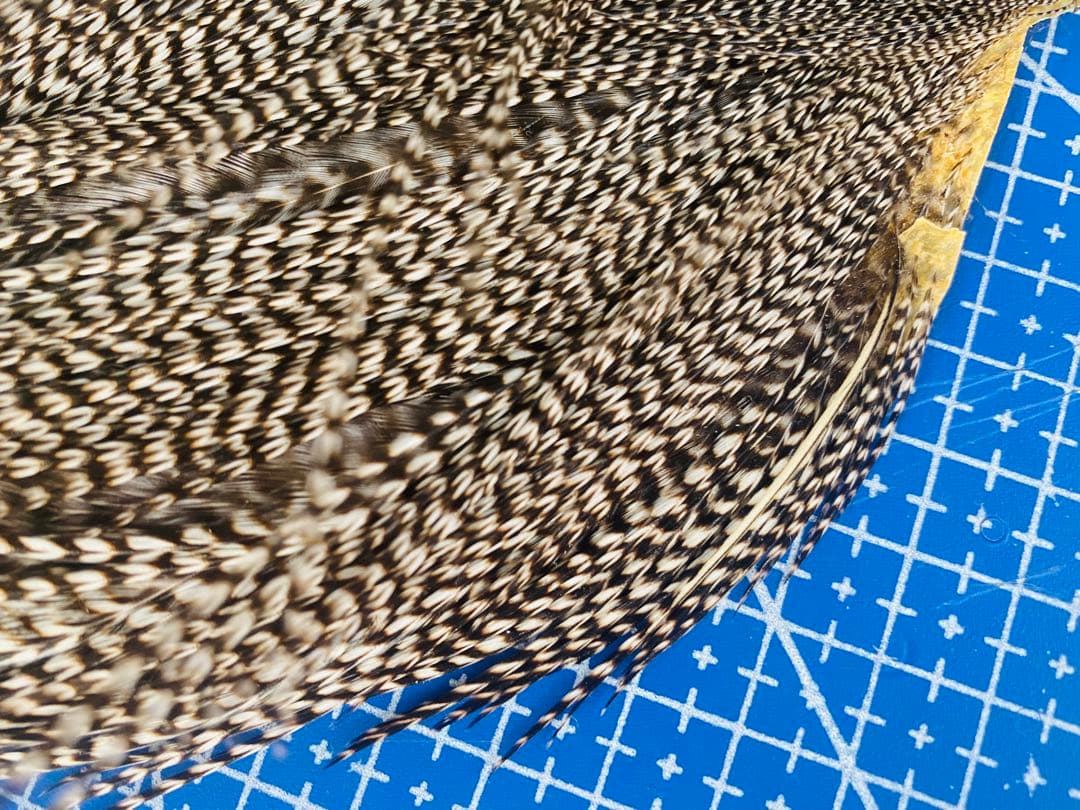 WHITING ハックル ホワイティング グリズリーフライフライマテリアル