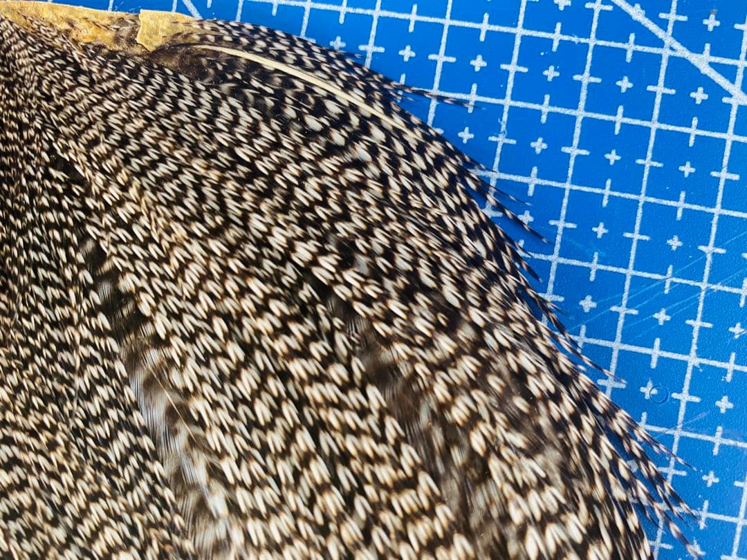 WHITING ハックル ホワイティング グリズリーフライフライマテリアル