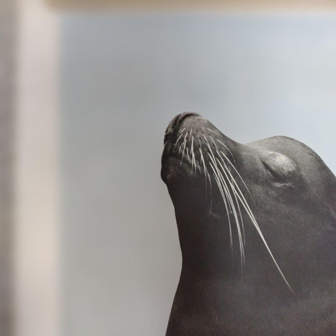 濱谷浩展 ポスター 写真体験60年