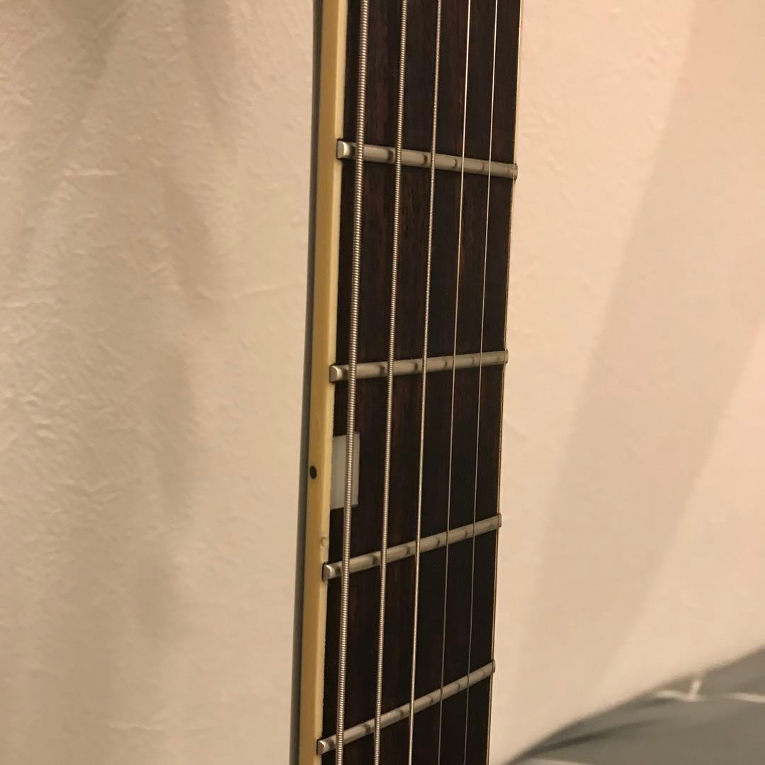 ガラスルーツ ホライゾン スギゾ エレキギター