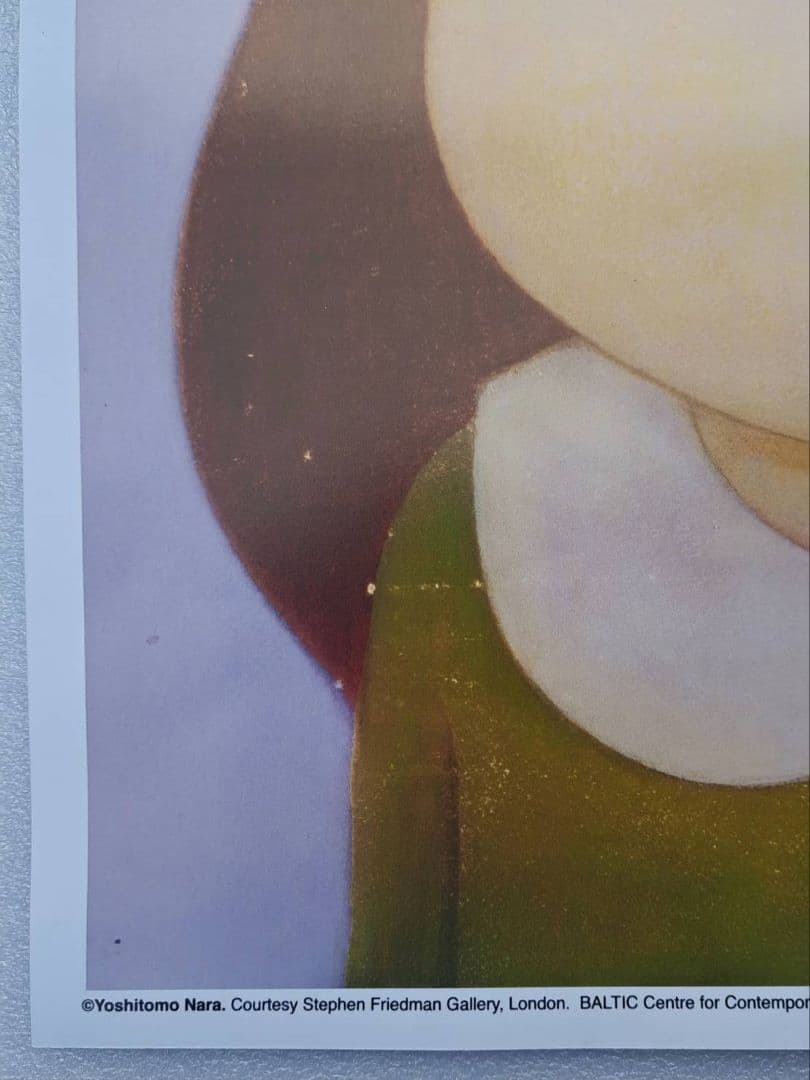 奈良美智　ポスター　2点セット　大人気画家　(村上隆　草間彌生)