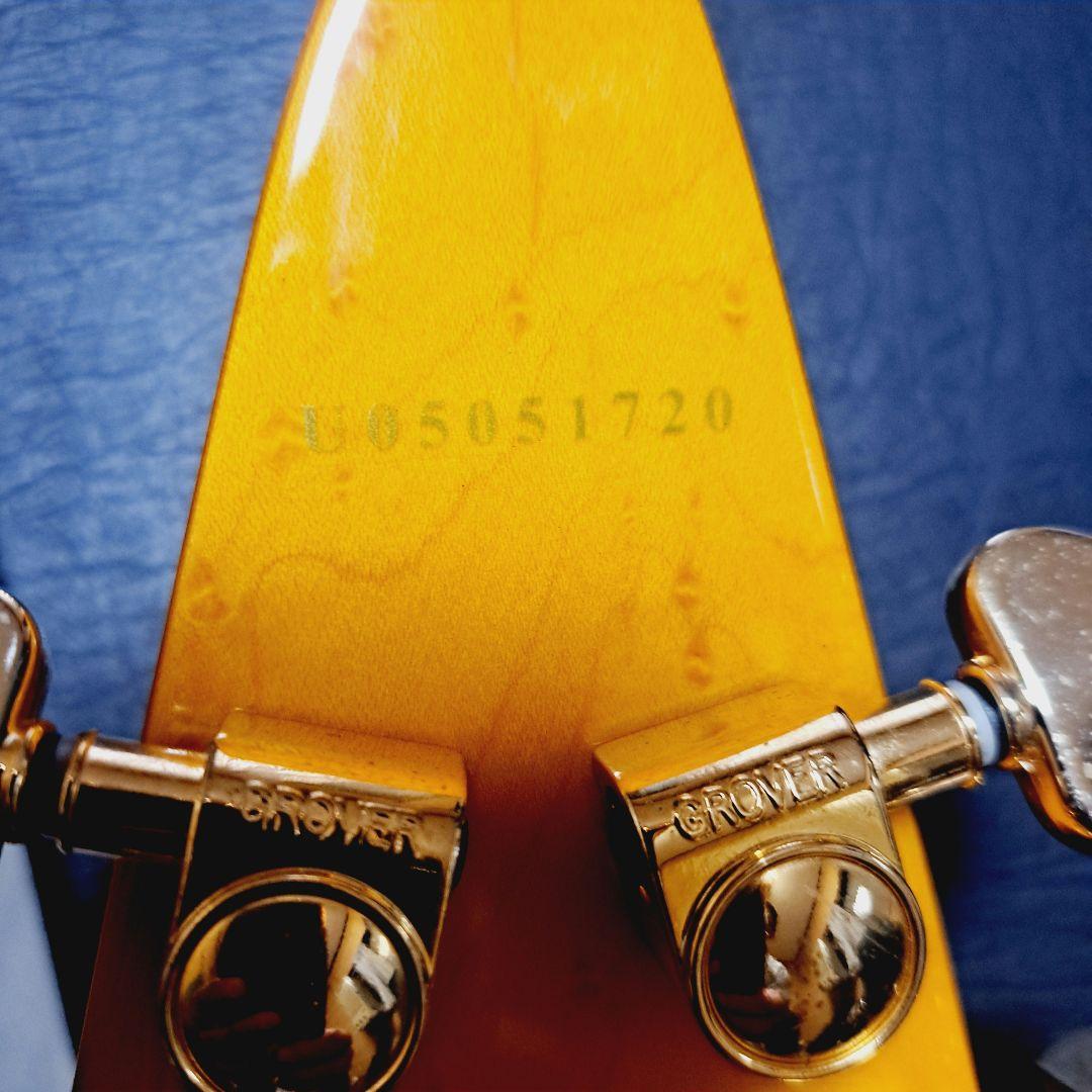 Epiphone 1958 korina Flying V コリーナハードケース