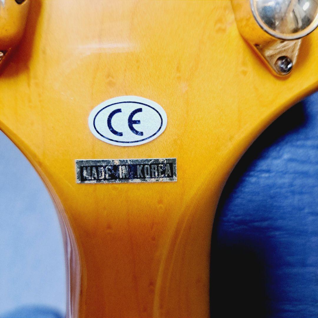 Epiphone 1958 korina Flying V コリーナハードケース