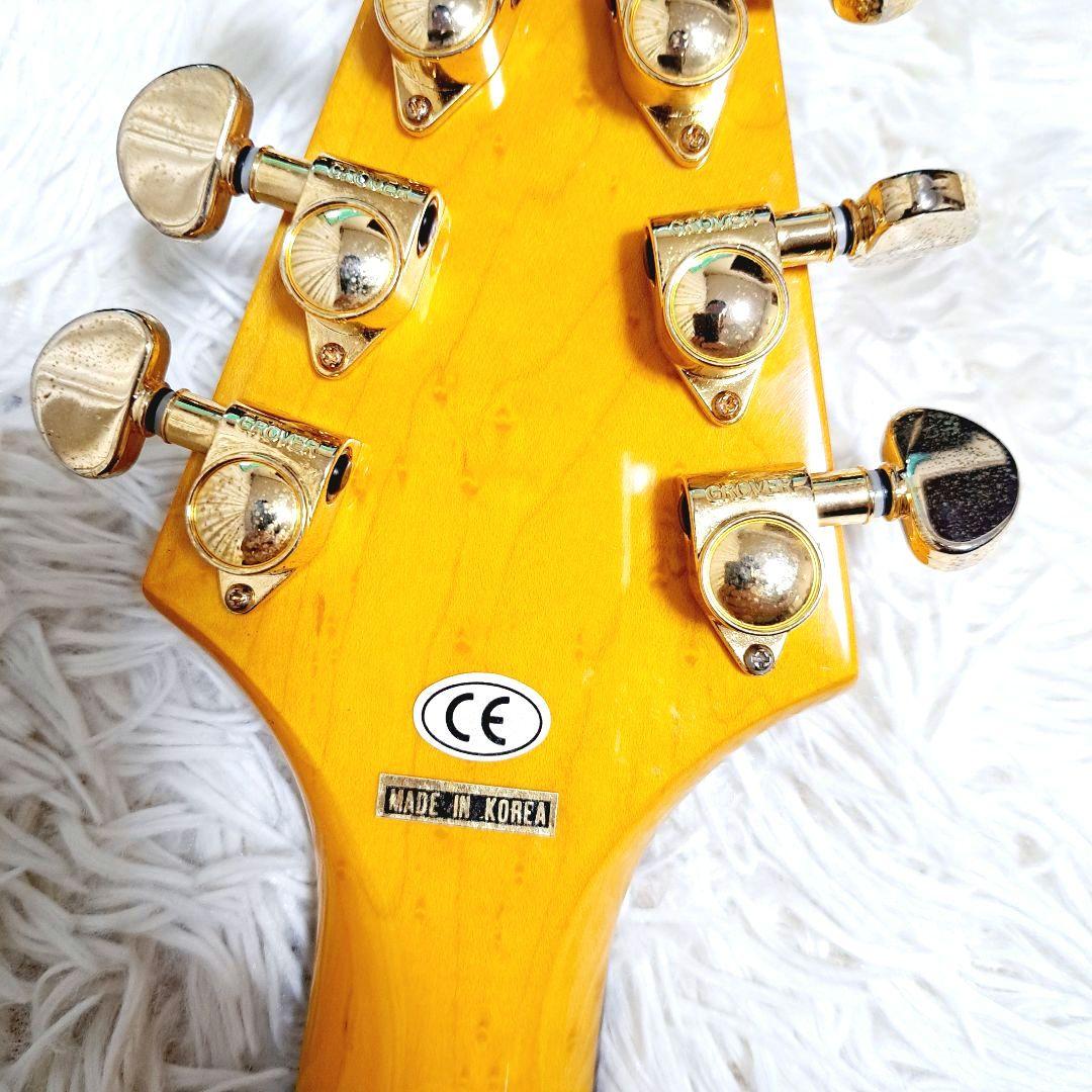 Epiphone 1958 korina Flying V コリーナハードケース