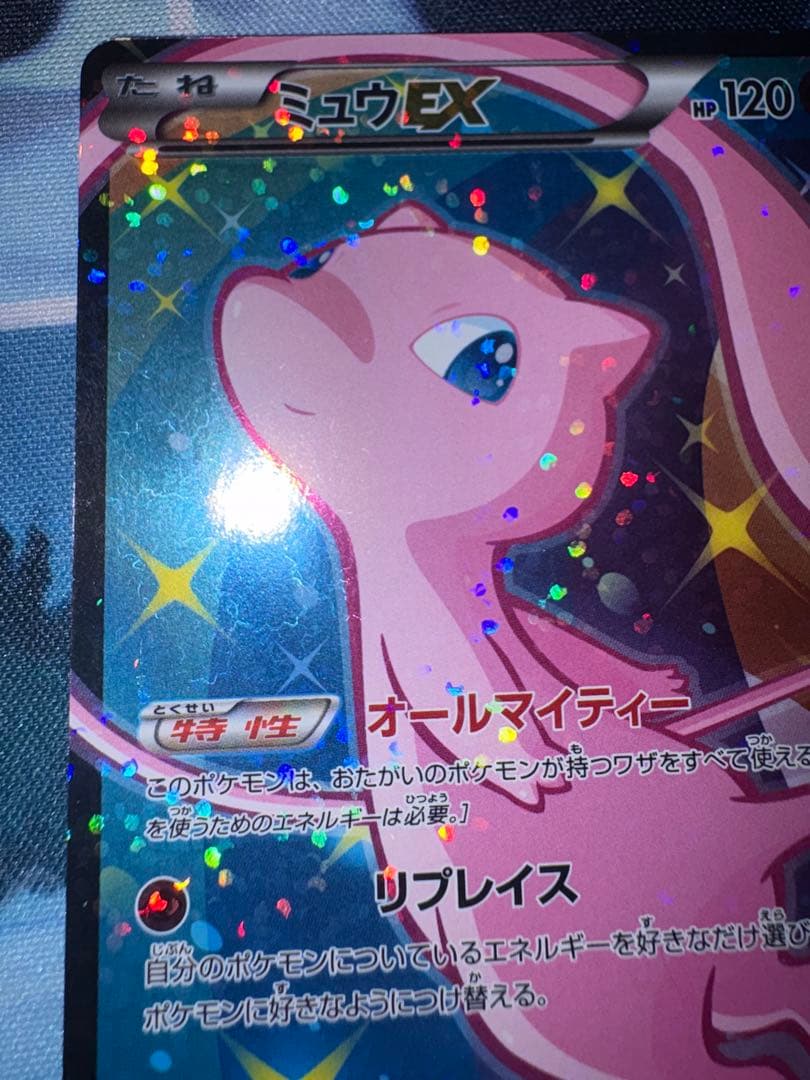 確認用（購入された場合は愛犬の写真送ります）