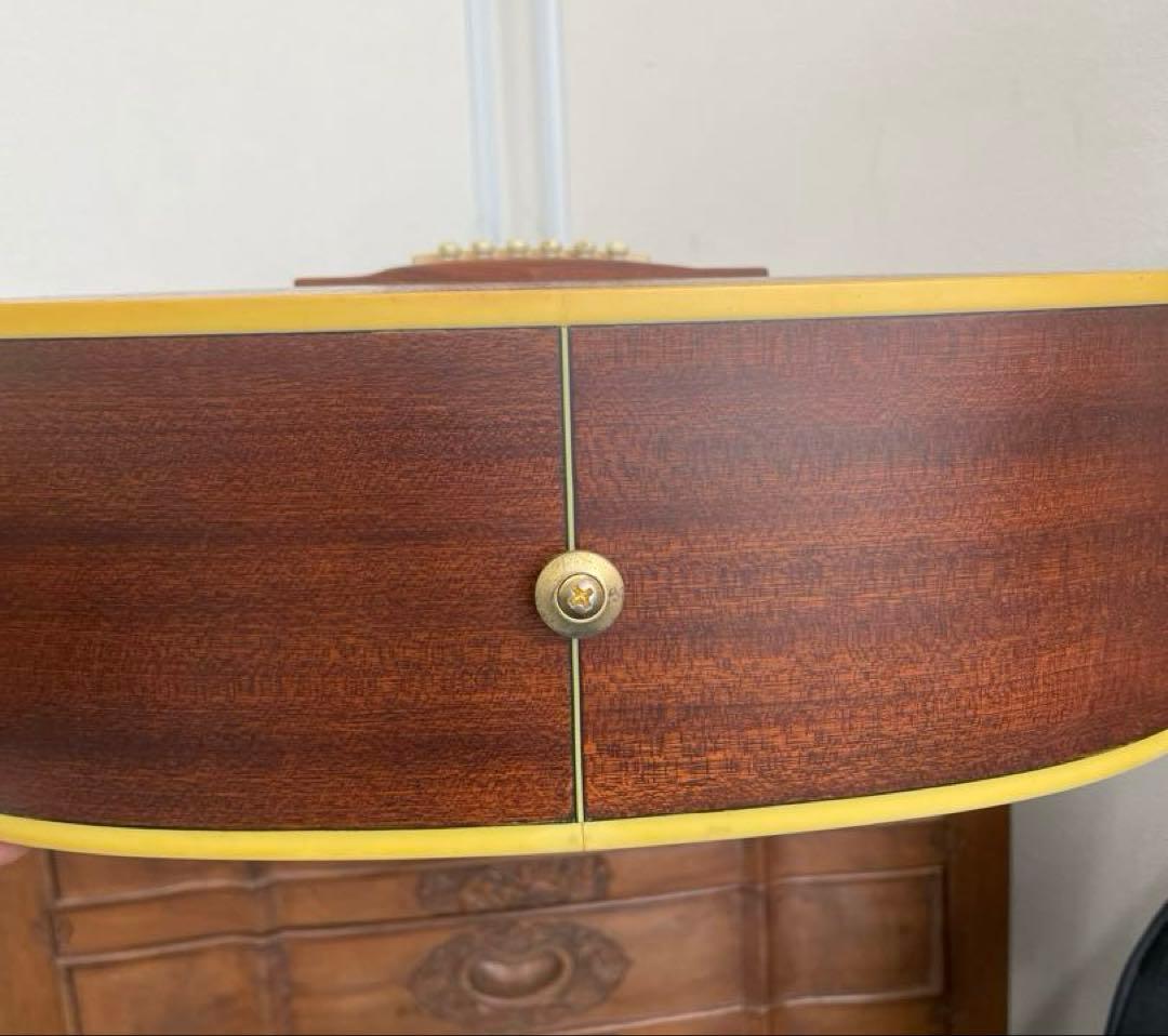 【E】Ibanez Art Wood RLGツリーオブライフインレイ ケース付き